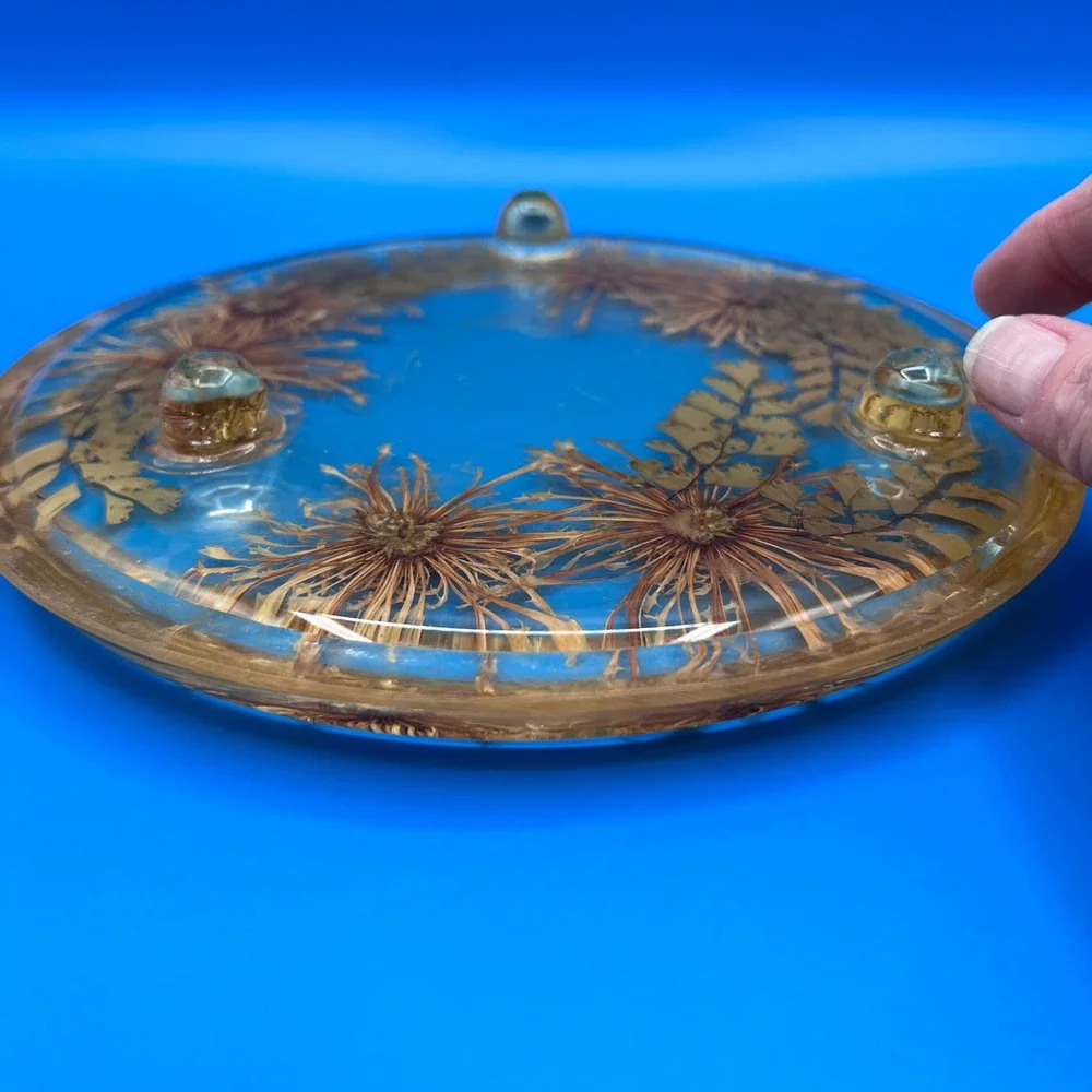 Vintage Lucite Trivet Real Dried Flowers Ferns Resin Hot Plate Clear Brown 7.5in
